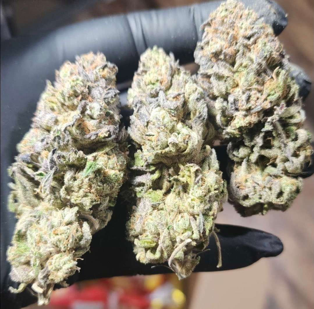 tigerautoflower's tweet photo. Burnt Toast x Super Silver Haze Photo https://t.co/19R0aQKphq