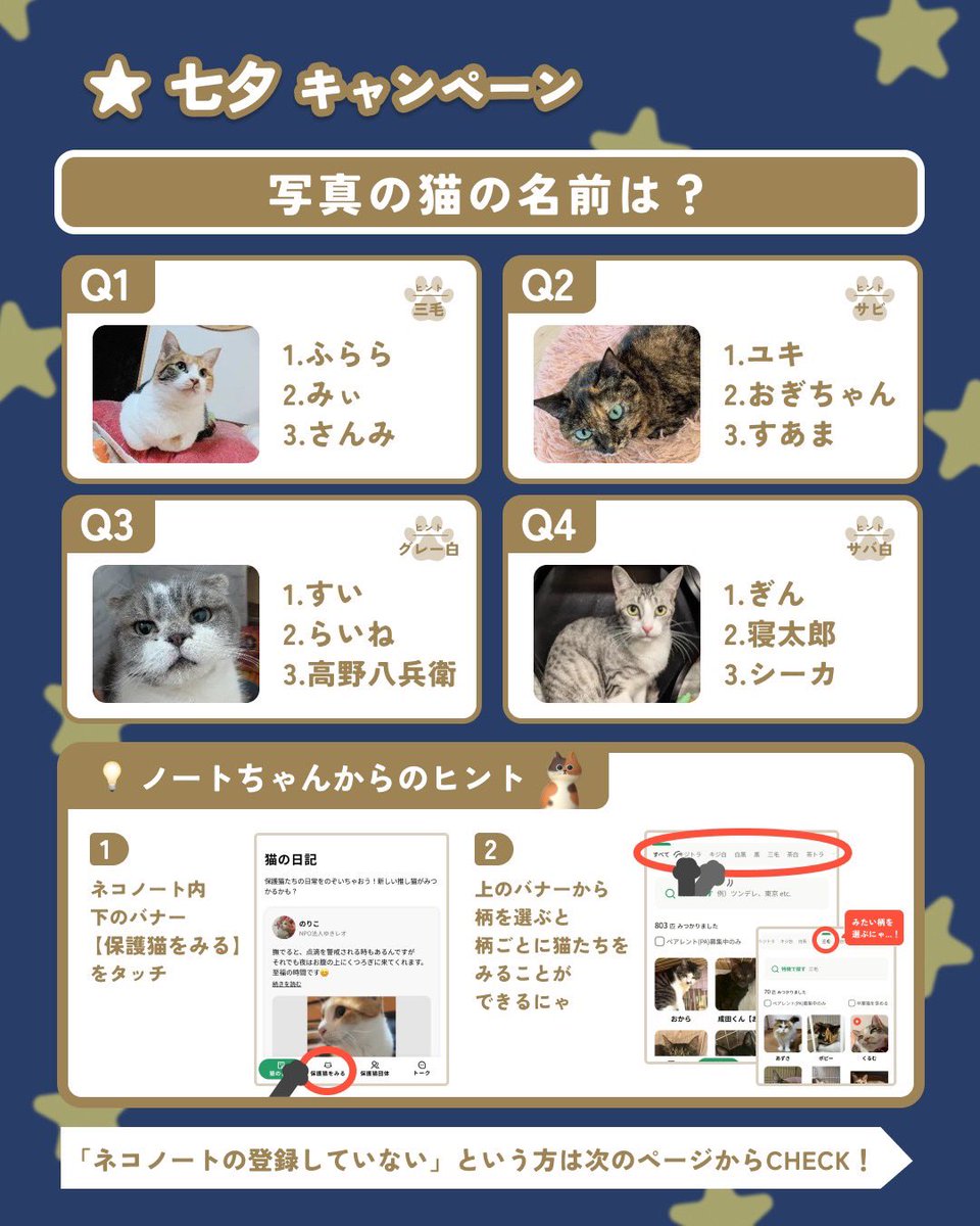 neco_note0222's tweet photo. ★キャンペーン概要
◯開催期間：7/7（火） ～ 7/15（水）
◯プレゼント配布対象者：7/15（水） 23:59までにクイズに回答した方
◯プレゼント：
・参加者：じゃらしチケット×1
・全問正解：おやつチケット×1
◯プレゼント配布日：7/16（木）～
◯回答フォーム：https://t.co/48detePTem

(2/3) https://t.co/yaqFAJtO92