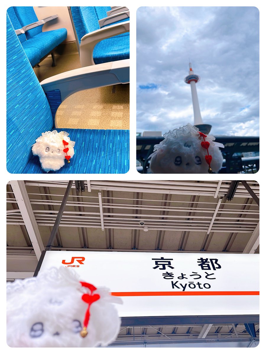 yj_hy_ai's tweet photo. ふにゅちゃんも実は一緒に初めての旅行に行きました😊

#ふにゅ活 https://t.co/LDlyemFaQ4