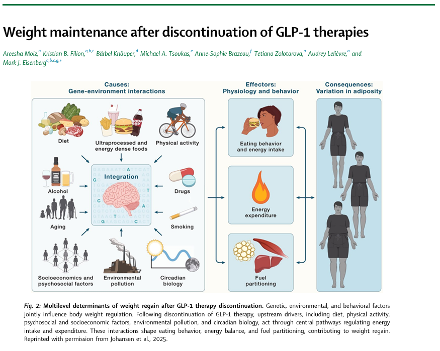 nick_krontiris's tweet photo. This review aims to synthesize available evidence across lifestyle, behavioral, pharmacological, and procedural domains to identify potential strategies that may help mitigate weight regain following GLP-1 treatment discontinuation. https://t.co/n33n1yg5iP
