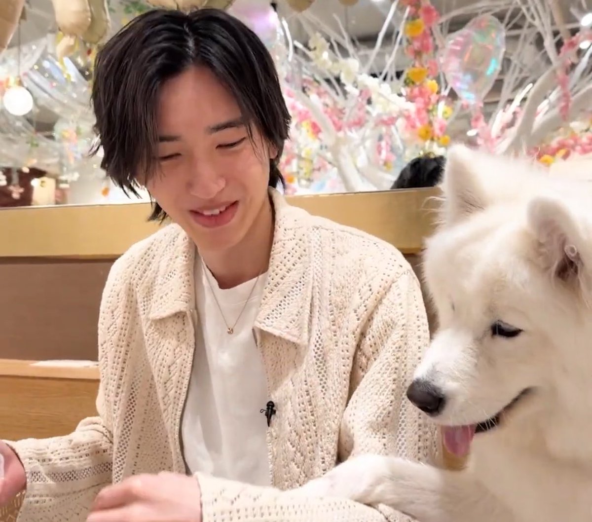 みっちー可愛すぎる😍 #なにわTube #道枝駿佑