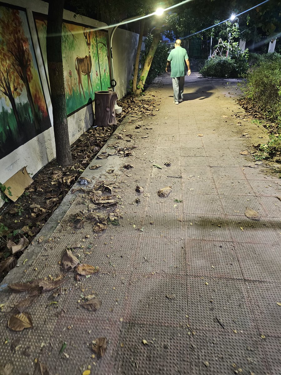suhail9779's tweet photo. Dear @chennaicorp this park is not being maintained properly. Walkways are filled with dry leaves, litter, and and the toilets are in a very unhygienic condition. Many senior citizens and children use this park daily. Kindly take appropriate action and ensure reg. maintenance. https://t.co/ROB19b4Ehq