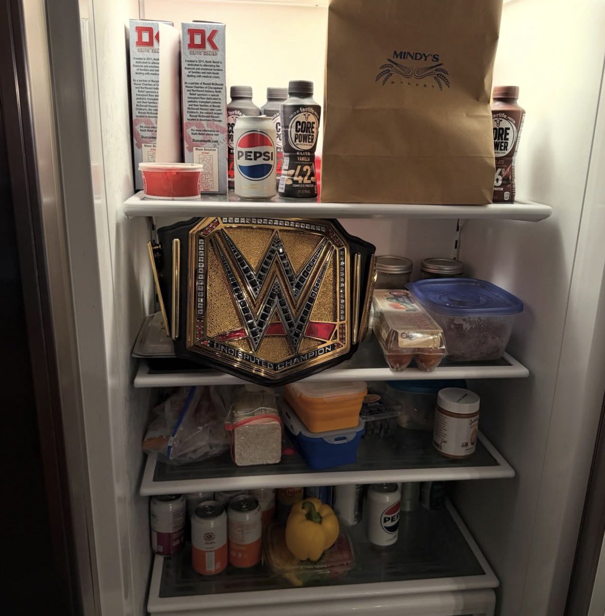 WrestlePurists's tweet photo. CM PUNK RECREATED THE FRIDGE PIC

😭

(IG) https://t.co/Pg22NuH42S