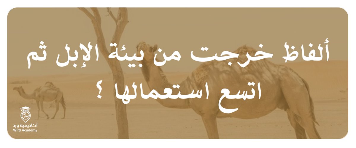 Wird Academy | أكاديمية وِرد tweet media