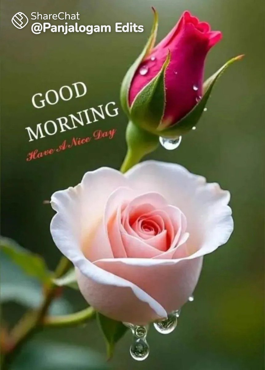 jayaramanmk01's tweet photo. @Sasi82362795 https://t.co/6N7Pb31T9U