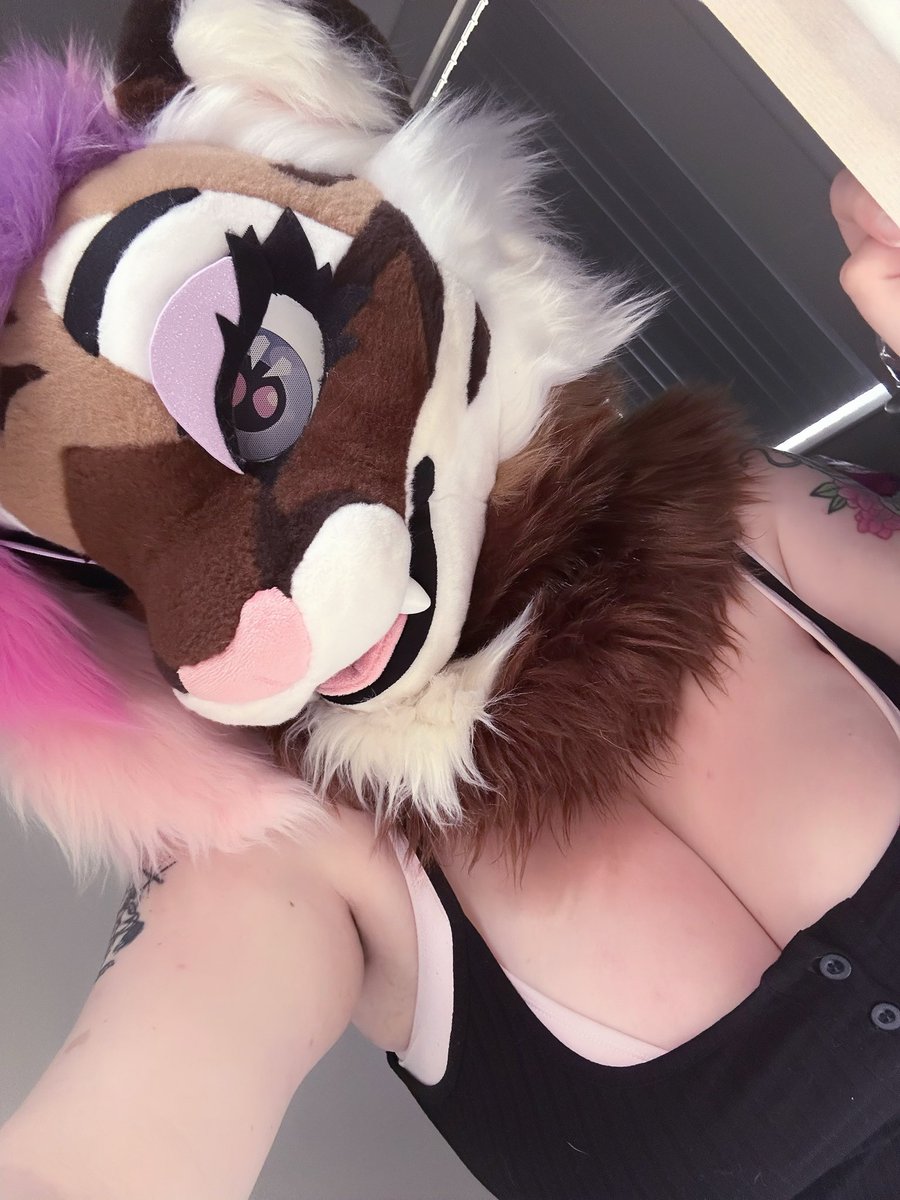 XMochiiiKittyX's tweet photo. Meow https://t.co/dXwznAtcSw