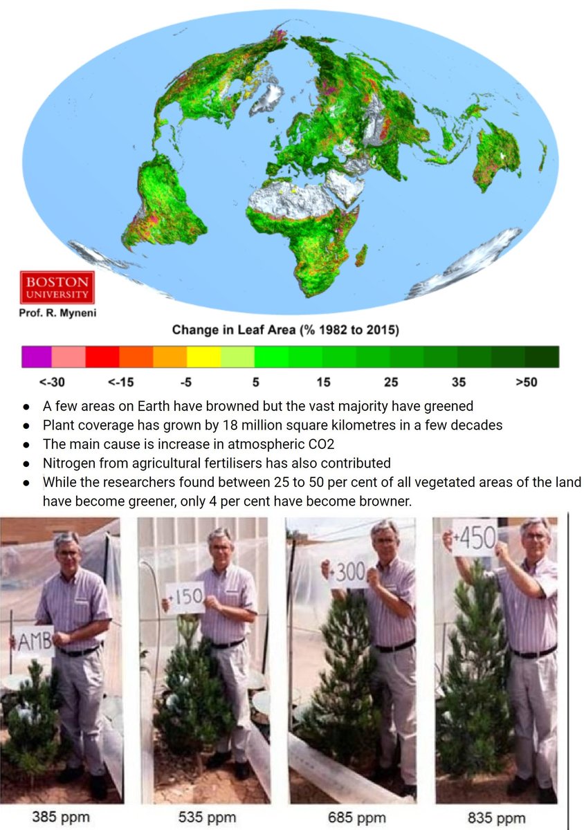 david_hilderman's tweet photo. @MarkJCarney @JasminLaine This is what increasing amounts of that "polution" is doing to leaf cover and plant growth rates on earth. https://t.co/55ild0NTJL
