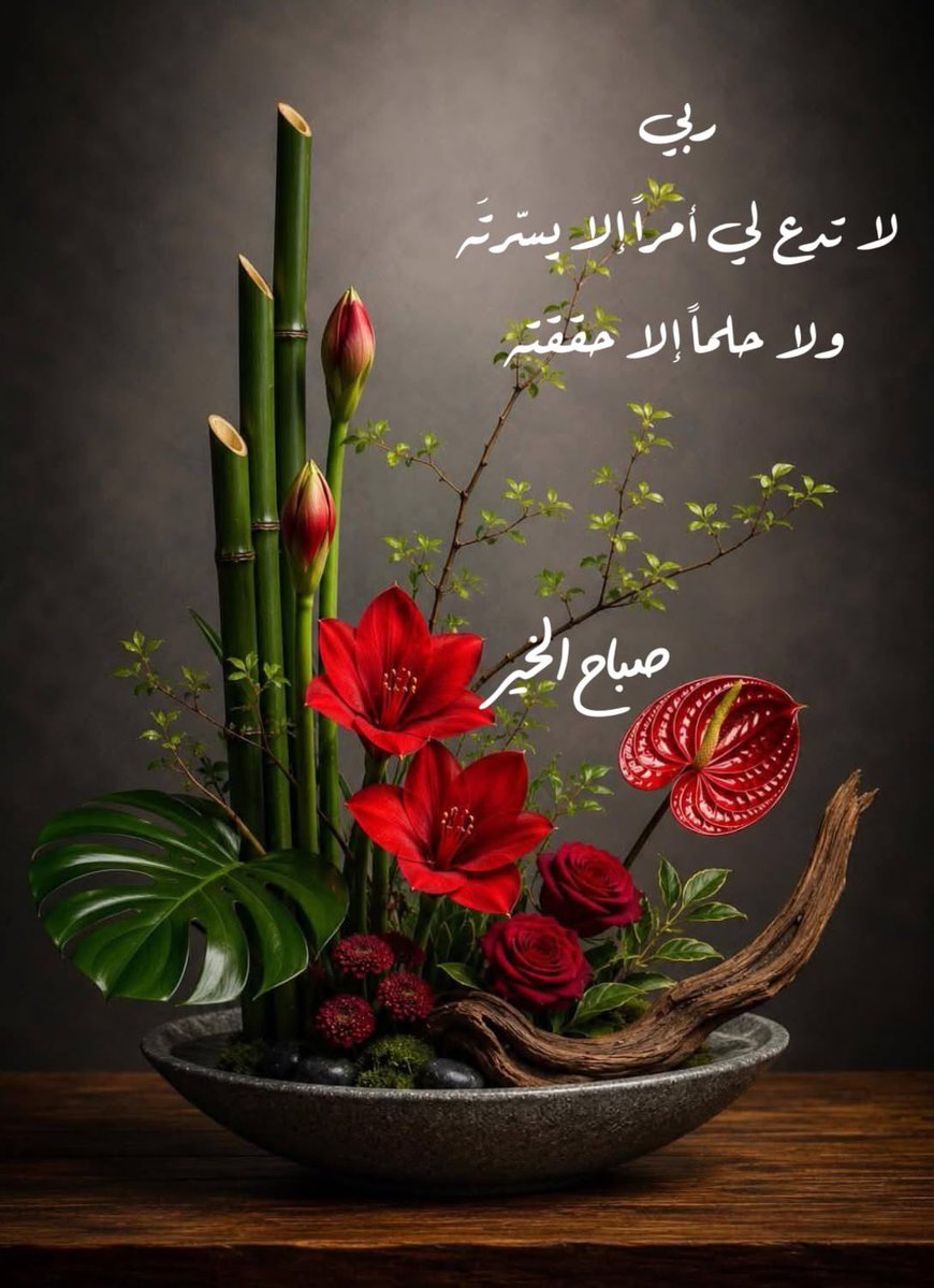ZozoMe9ry's tweet photo. https://t.co/lyBxkkWKEu