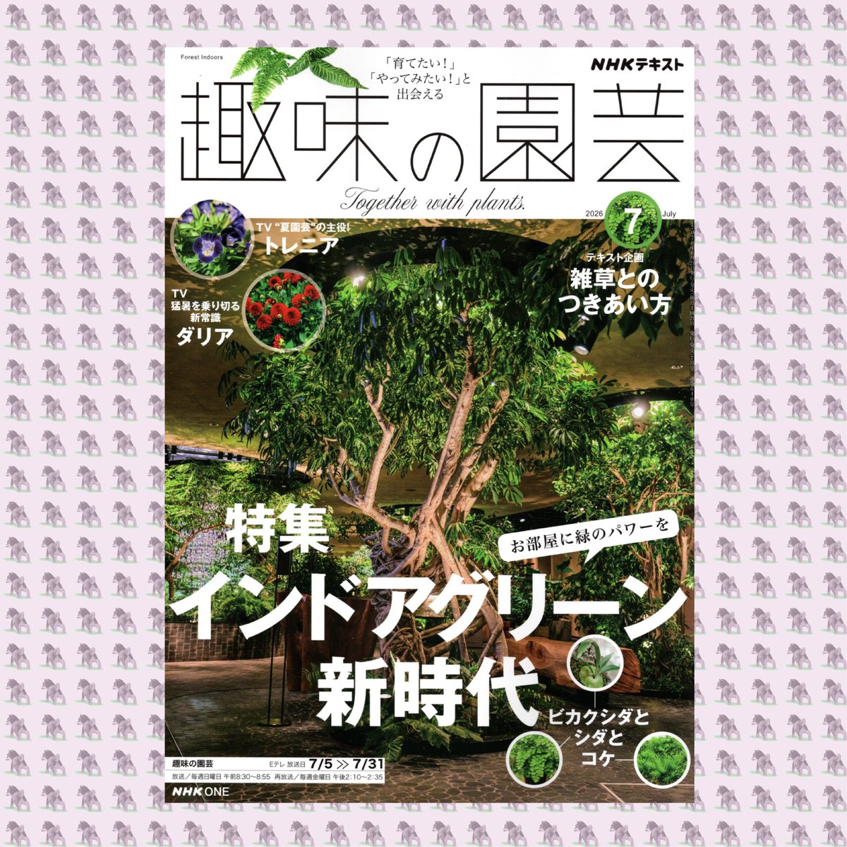 趣味の園芸】(2026年7月号) #園芸 #NHK出版 #NHK_ONE #日本放送協会