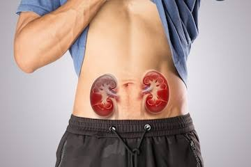 Shweta150990's tweet photo. Your kidneys may be failing - watch for these 5 early red flags

Without causing obvious pain.

That's why kidney disease is often called a "silent" condition.

Here are 5 early warning signs you should never ignore. 🧵👇