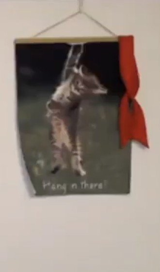 VDawgg90's tweet photo. $RKC Before the headband went on the Kitten. Roaring Kitty testifying to the U.S. House Committee on Financial Services on February 18 2021. Notice the background picture. https://t.co/FkTOl66772