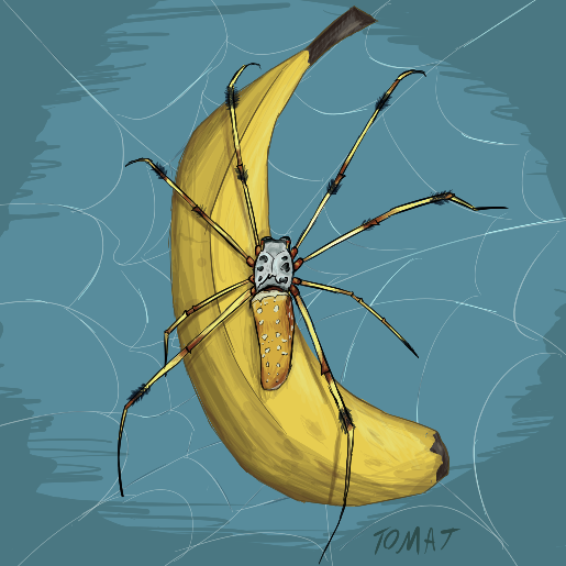 skybuilder86's tweet photo. freakig spider https://t.co/GU8YBjkQTx