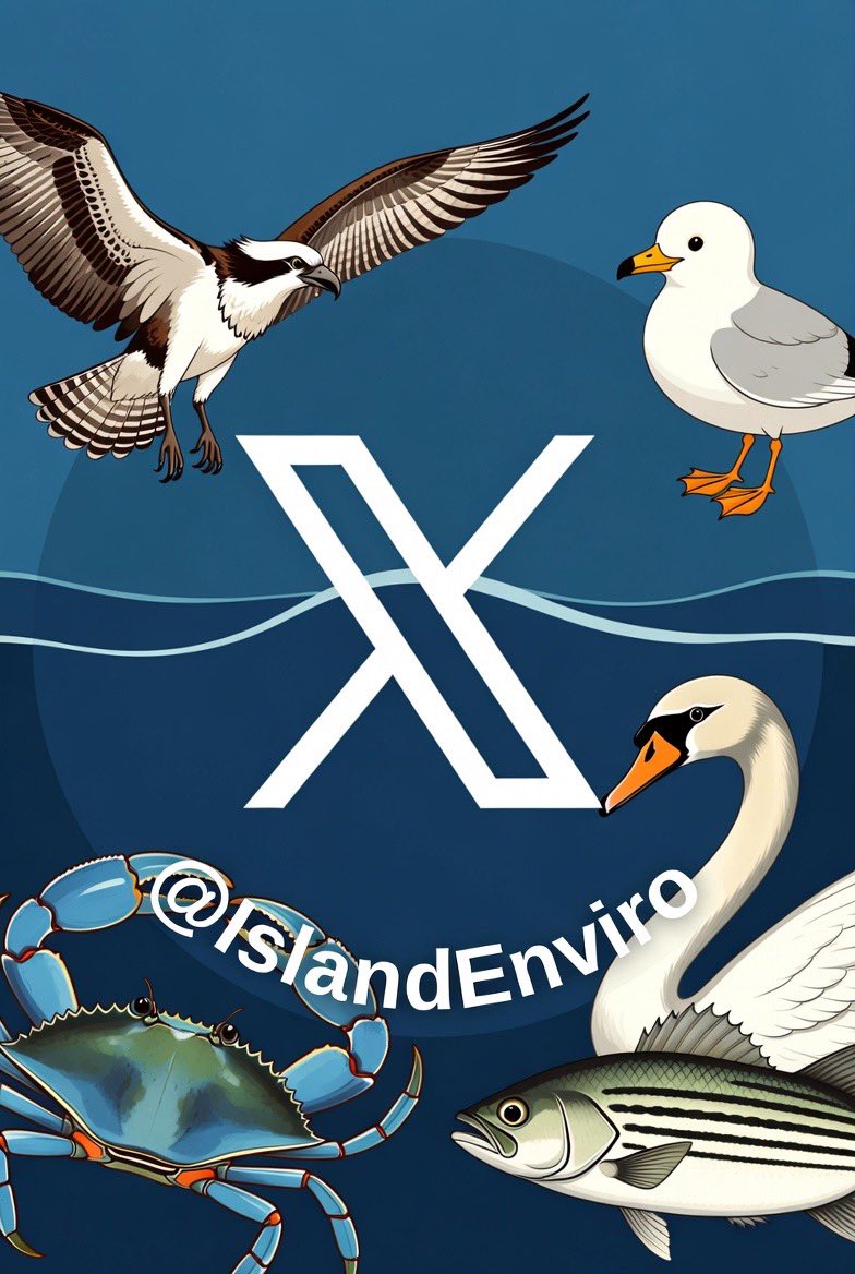 IslandEnviro's tweet photo. https://t.co/HSTQyJjt5M