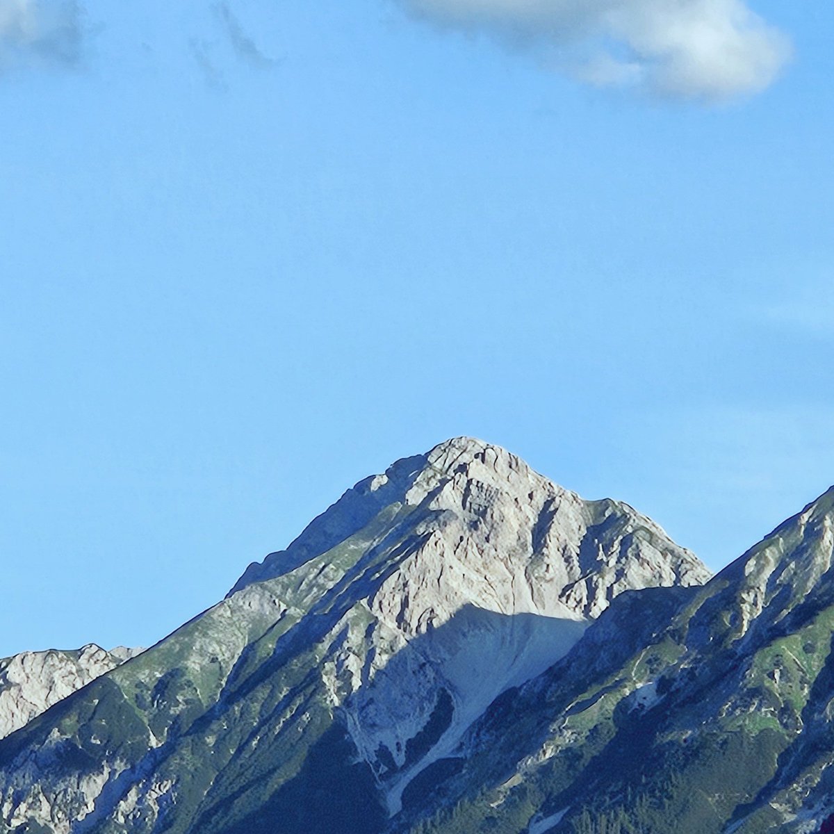 CodingLisa's tweet photo. 🌞☕️ ich wünsche meiner süßen #Twitteria einen wunderschönen guten Morgen 🥰 https://t.co/AbhvgJ58g7