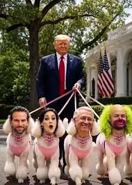 victordario120's tweet photo. @PonchoGutz NO SON PANISTAS
👇👇👇👇👇👇
SON  LAS PERRITAS DE TRUMP
#LaPerritaDeTrump
#laperritadetrumpporsiempre https://t.co/3ObSWeQfiI
