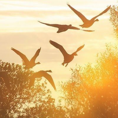 walterlindioep's tweet photo. https://t.co/jDumcNcTS6
