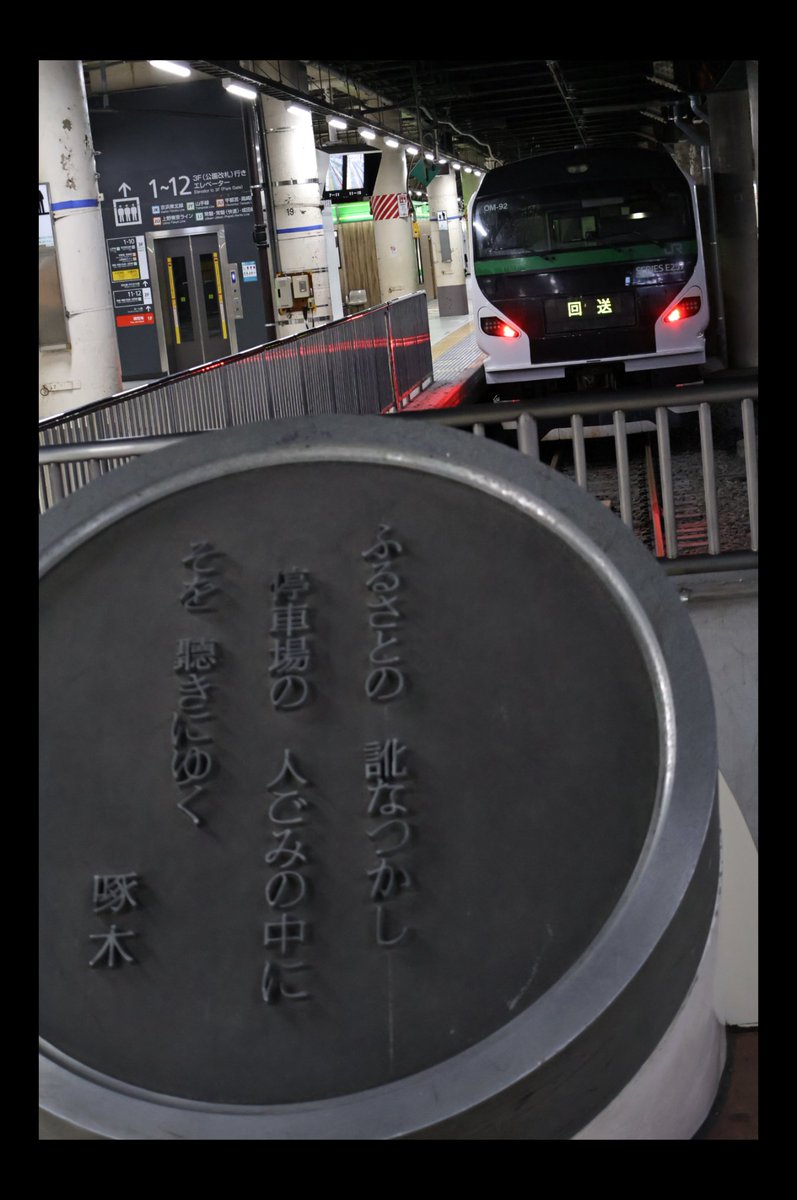 七夕なので系列名に7がつく車両を貼ろう E257系 NA-07/OM-92
