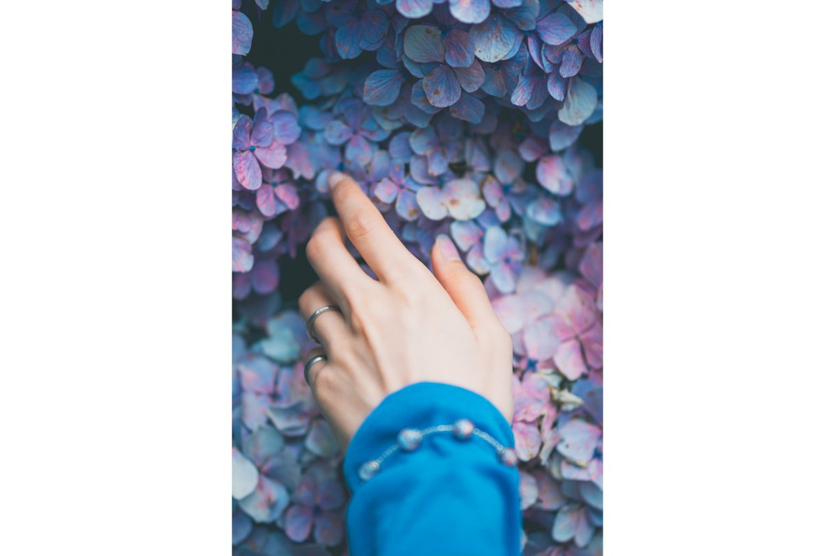 everyphoto2's tweet photo. 「SONY α7RVI Photo Contest」
https://t.co/2GXpQMJt1c

SONY αシリーズカメラで撮影した写真を大募集！
各部門4作品に、マップカメラでのお買い物に使えるポイント10万円分をプレゼント！

期間中にご投稿いただいた作例をご紹介！
yuu 様ご投稿
触れれば、雨音
https://t.co/jGeYHedf4s https://t.co/kFmezZ602g