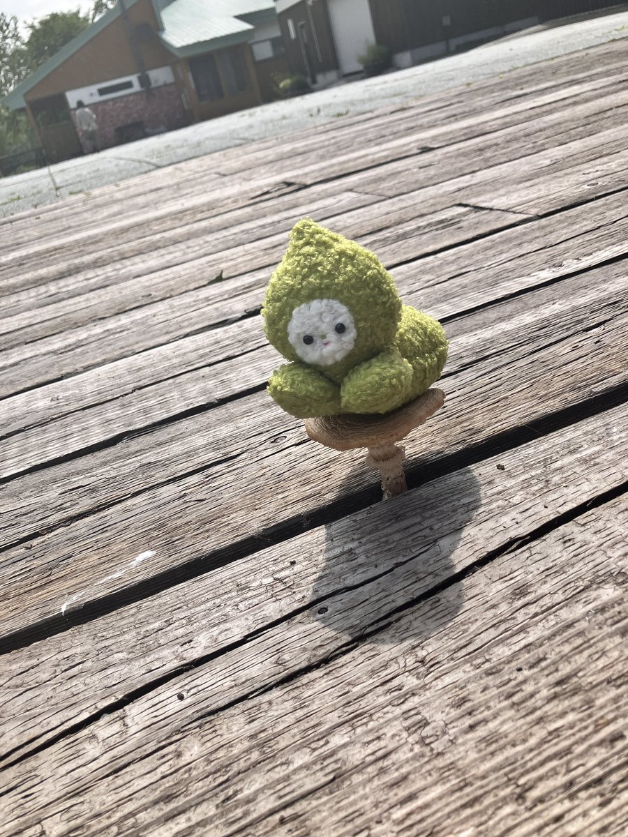 misisippinui's tweet photo. きのこに乗って休憩🍄 https://t.co/7SQtUyUHNZ