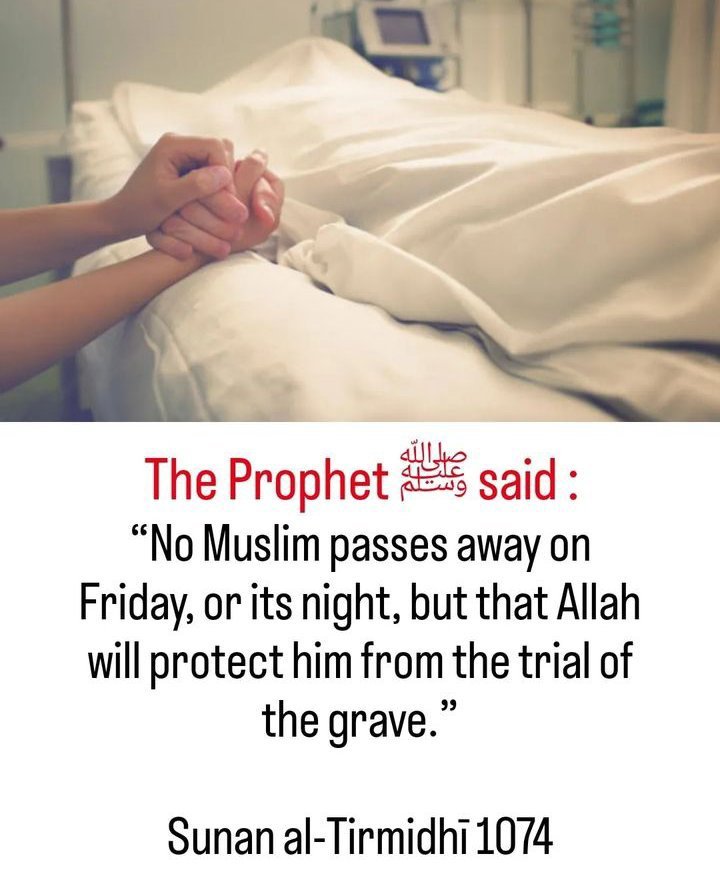 adhamakwaki's tweet photo. Hadith of the day S A W 🤍 https://t.co/vVFTqtaxn1
