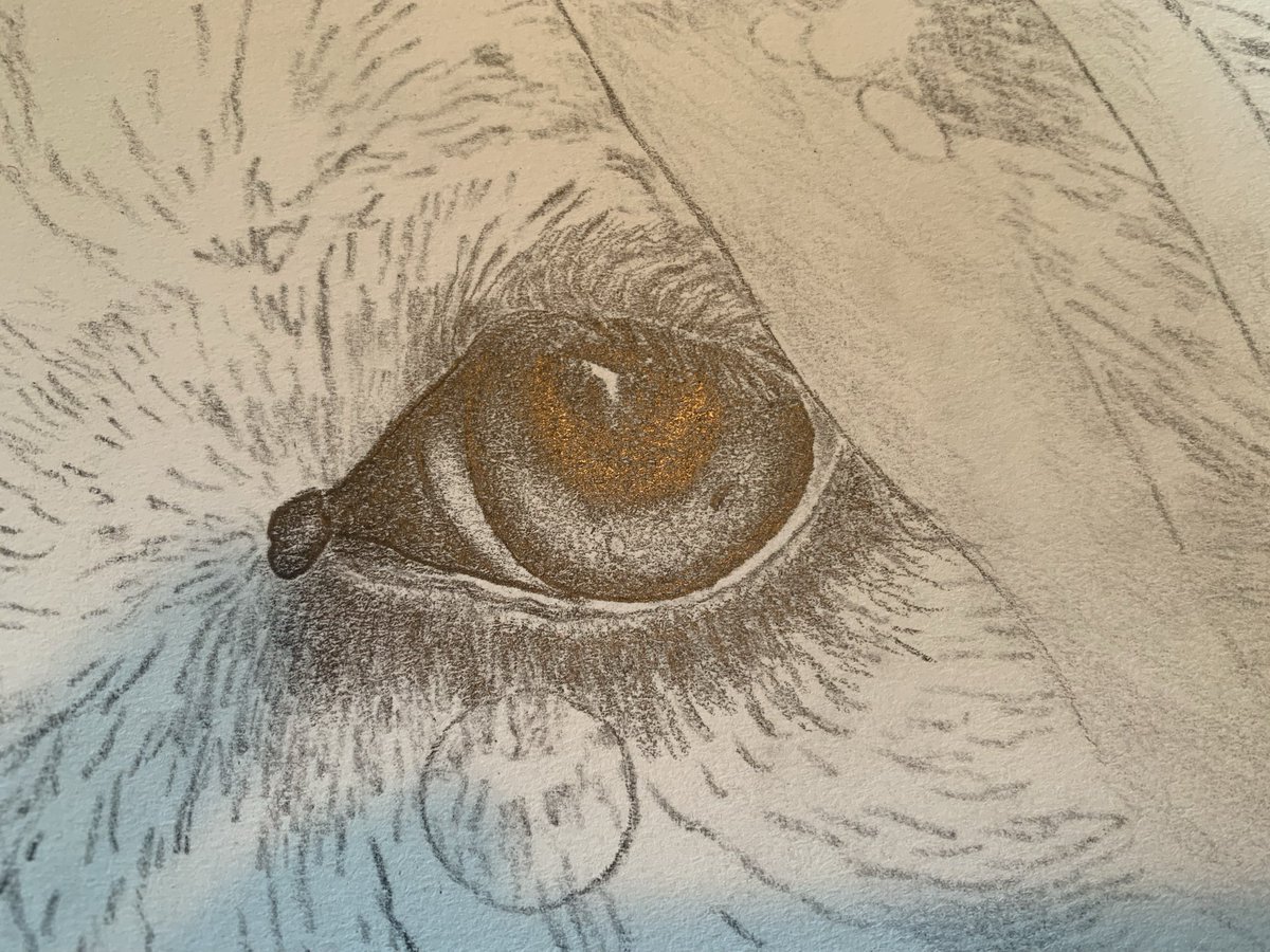 DanielDick0918's tweet photo. @shyestofthemall I’m an artist. This is what I am currently working on. 

I look at those lovely freckles on your shoulder and they inspire me to see what I could make of them. You could be my canvas. You are already an inspiration. 🤪￼￼🖐️ https://t.co/4rKmDjxhFn