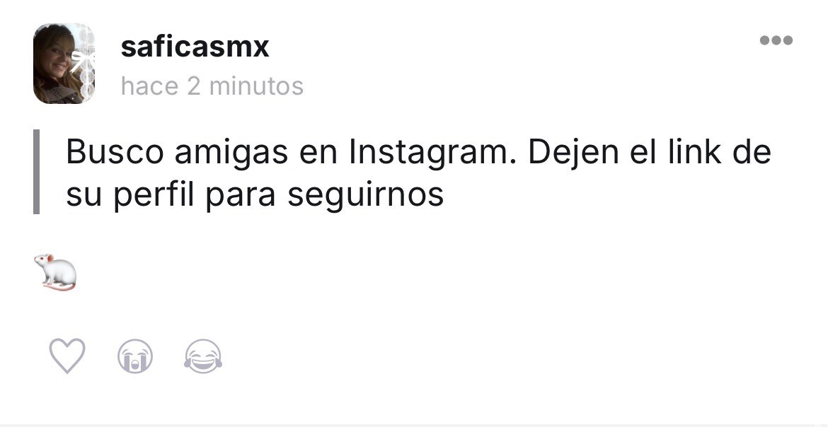 🌺 tweet media