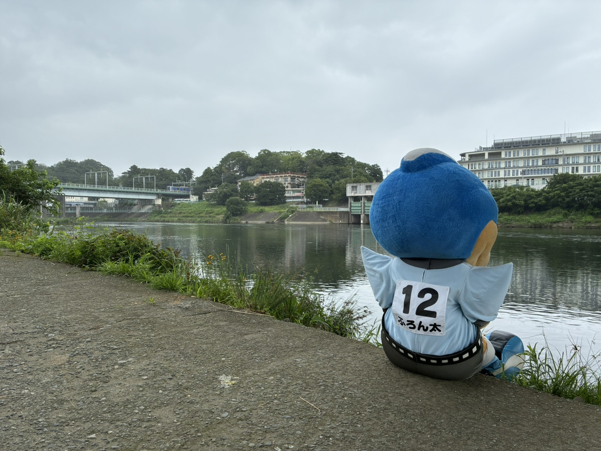 frontale_staff's tweet photo. 多摩川にある川崎フロンターレ仕様の河川名標識の前で
ぜひ乾杯を!!
https://t.co/OVWqYg9sS6

多摩川で飲む一杯は他とは違う。とふろん太より
※サントリーさんの天然水を飲んでました。

【ホームタウン】#frontale #水辺で乾杯 https://t.co/eapSz5e1ks
