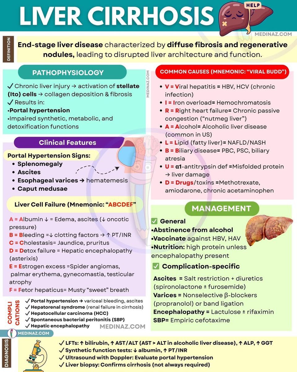 AB_drmd's tweet photo. ✅بإختصار: في Chronic liver disease الكبد يصير ضعيف و ما يقدر يصنع بروتينات التجلط (coagulation factors) اللي أغلبها تعتمد على Vitamin K زي Factor II, VII, IX, X، و مع نقصها يضعف المسار الطبيعي للتخثر. غير كذا، الكبد الطبيعي يصفي thrombopoietin و ينتجه، ف لما يتضرر يقل عدد الصفائح الدموية (مع وجود hypersplenism من portal hypertension). و برضو الكبد ما يصفي المواد المضادة للتخثر بشكل صحيح، ف يزيد الخلل. النتيجة إن المريض يكون عنده coagulopathy و يصير ينزف بسهولة حتى مع إصابات بسيطة أو أثناء الإجراءات الطبية.

📌الصورة ملخص ل cirrhosis لو حاب تراجعه.