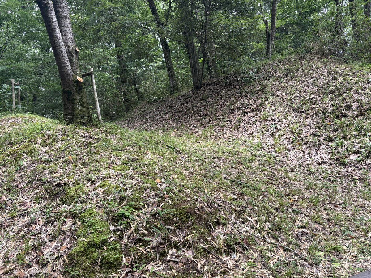 SAVAGE0087's tweet photo. 摂津国の茶臼山城（上津城）🏯

室町時代に有馬氏が築城したと伝えられます。
三木合戦の際に仙石秀久に攻められ落城しました。 https://t.co/pukUXdXDNE