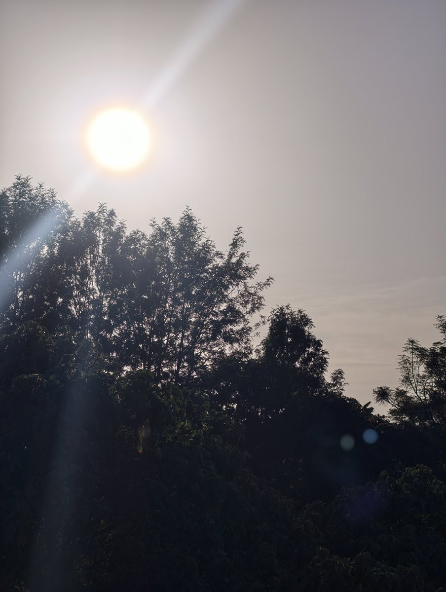 ronniechirchir's tweet photo. Morning views in Kericho the Green Town https://t.co/wAfYFn8ITA