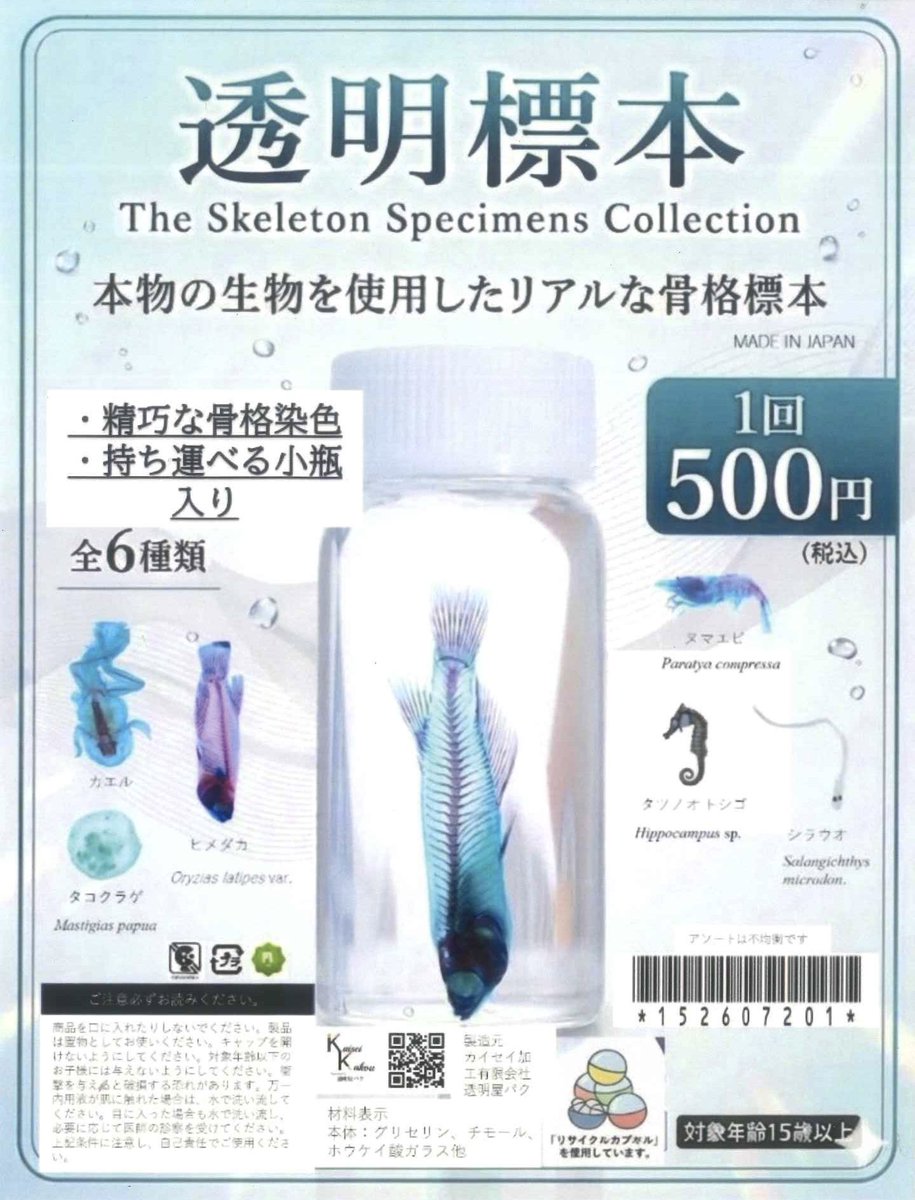 🌟新商品のご案内④🌟 ・透明標本のカプセルトイ #シープラ #シープラ