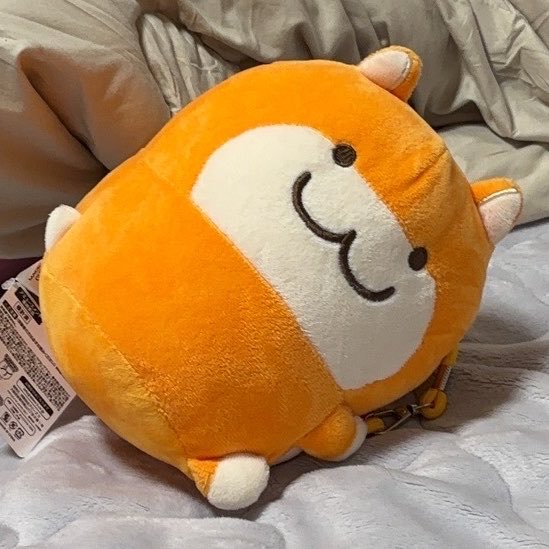 end_it_m's tweet photo. かわいい https://t.co/V5yKqV9HKC