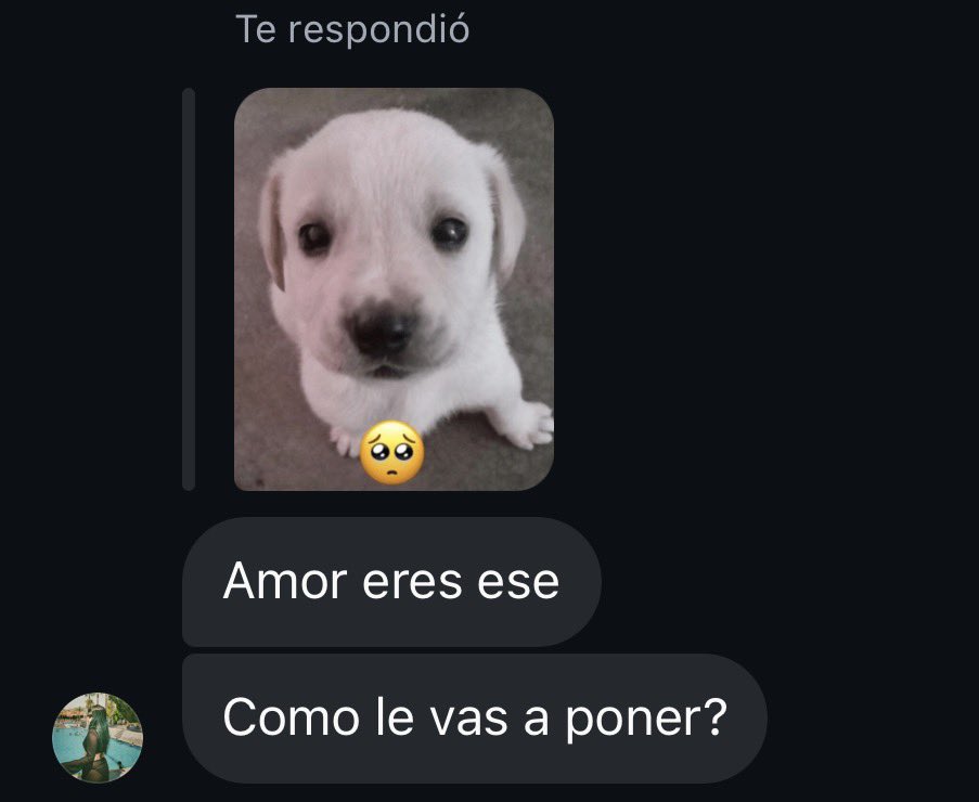 Gaeeeeeeeeelo's tweet photo. Me va a comprar una tortuga y me puse chipi https://t.co/nq2PAuCkfO