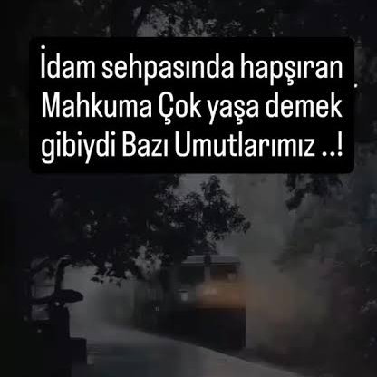 Mahmut Efe Kerim tweet media