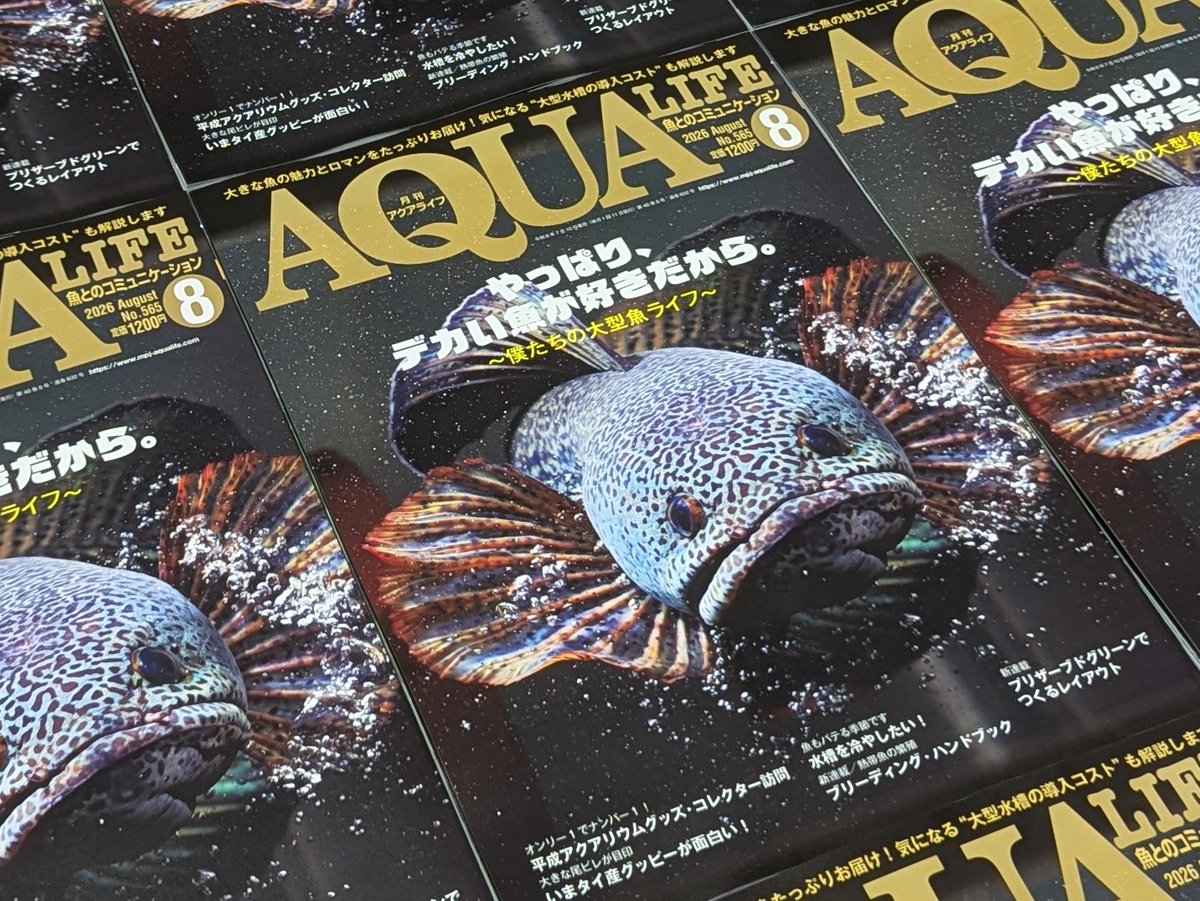 📢まもなく発売📢 7月10日発売の『#月刊アクアライフ 8月号』が無事に
