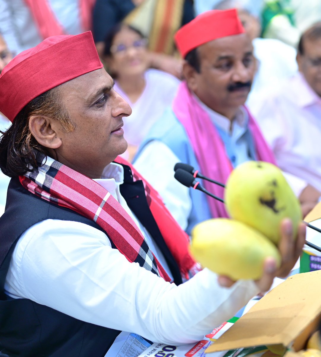yadavakhilesh's tweet photo. ये प्रकृति के मिष्ठान हैं, ये स्नेह की मिठास से भरे आम हैं। https://t.co/WzEJAyAVNh