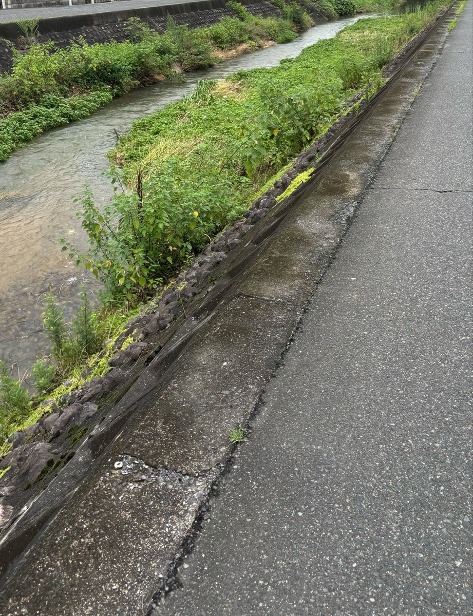 yuga_608's tweet photo. 帰宅🤮
湿気えぐい……ベタベタするぁ https://t.co/tmHSXiZdpL