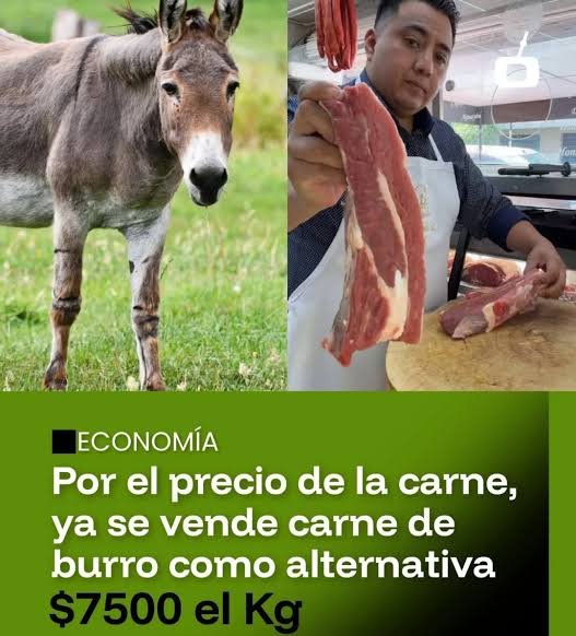 Cómo chingas. 🙄🦀 tweet media