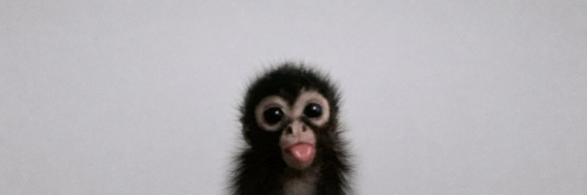 runty_days's tweet photo. as simple as just $ape 
15k
2x6NENv5H3bsQ1sVKKsh2wndDNR7vLQtRJXVKzjipump https://t.co/EMMFdJhFPz