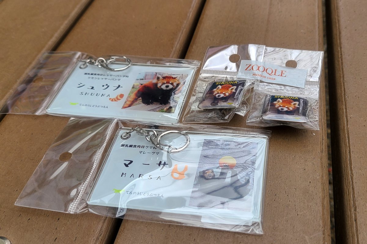 koji_kingdom's tweet photo. 今日の目的はこれ
シュウナ様名刺風キーホルダー
マーサちゃん名刺風キーホルダー
シュウナ様BIRTHDAYピンバッジ
残っててよかったー🙌
photo 2026.07.07📷️
#ZOOQLE #天王寺動物園 https://t.co/bhbqb8ylBt