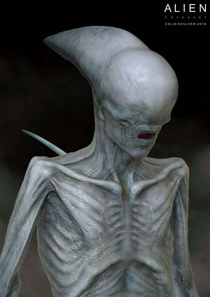 AVPAlo's tweet photo. The Neomorph
ALIEN COVENANT (2017) https://t.co/g6le5SSL6F