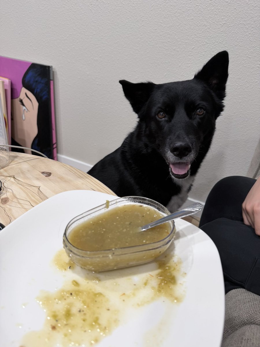 dtuivs's tweet photo. He wants the salsa. https://t.co/Cp2fmeIQQO