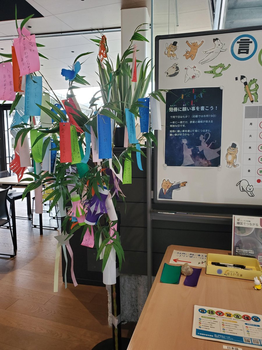 seikallc's tweet photo. 今日は7月7日、七夕です🌌
言語学習支援室の笹は、たくさんの願い事でいっぱいになりました🎋
笹は旧暦の七夕8月19日（水）まで飾っておきます。自分で書いた短冊を持ち帰りたいという方は、10月中旬頃までに支援室に取りに来てください！
皆さんの願いが叶いますように・・・✨ https://t.co/cLILc10gyC