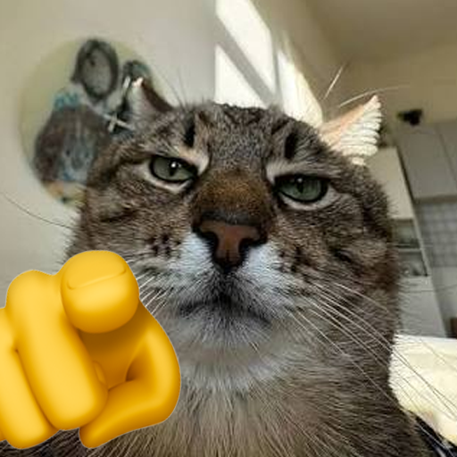 handcatmeme's tweet photo. i see what you've done onchain and it sickens me https://t.co/zoqCmSQq9b