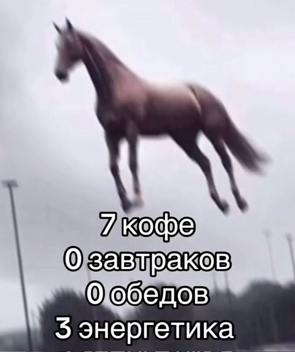 panterkabbv's tweet photo. Every morning of the Valko's pack starts the same way:

7 coffees
0 breakfasts
0 lunches
3 energy drinks

#KeepValkoAlive
#NoToValkoCancellation
#BringValkoBack
#JusticeforValko
#Valko https://t.co/Fizg0u7S98
