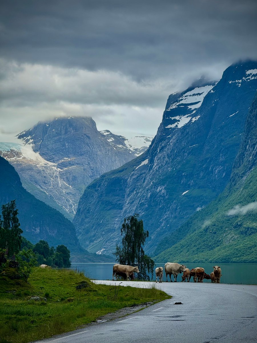 Pure Nature tweet media