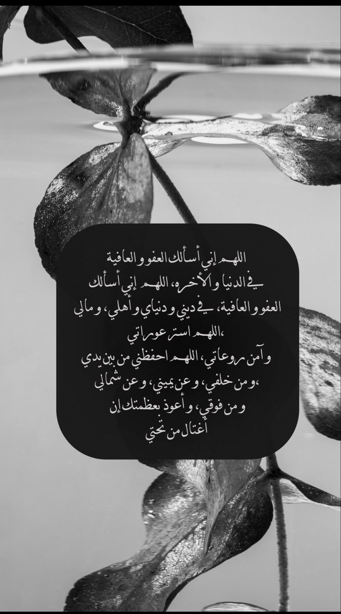 tmtaf1988's tweet photo. صباح الخير https://t.co/OUQ696a3Il