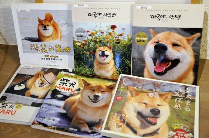 Marutarooneth's tweet photo. World renowned author Maru has many books https://t.co/FXNtrV3LhJ