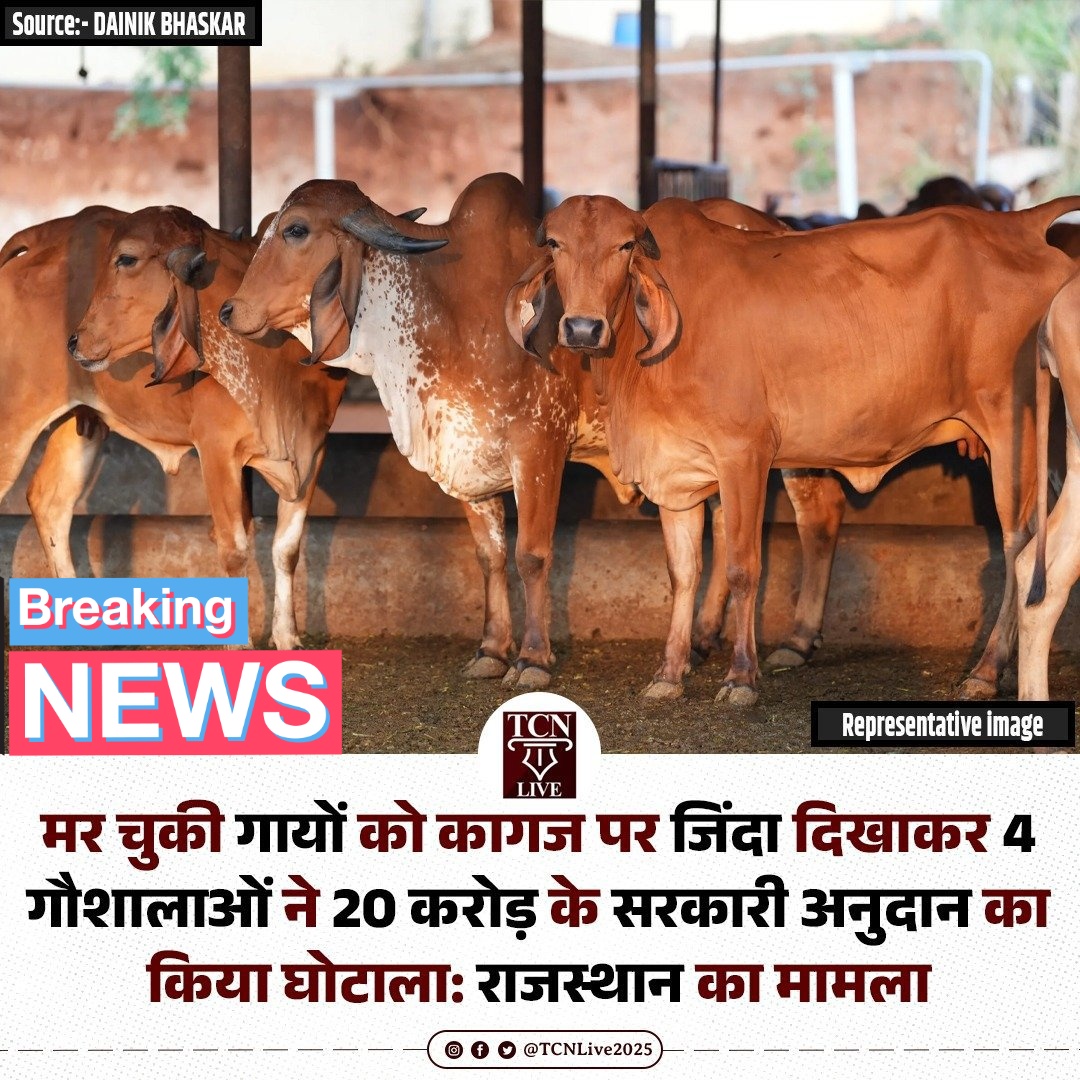 dilthi_gujarati tweet picture
