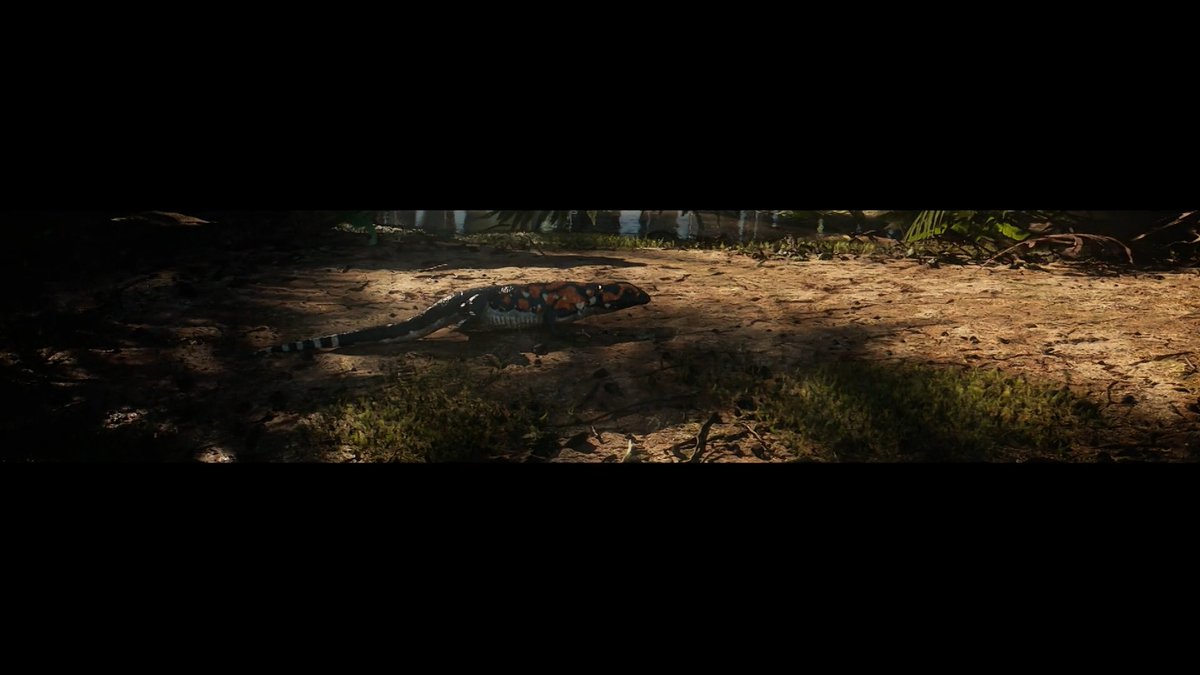 raftingzalmoxes's tweet photo. While everyone's attention is drawn to the glorious #SurvivingEarth E04, #EvolutionWithChrisPackham has quietly began its marketing, revealing yet another trailer (all new VFX shots it contains are already displayed below) and a detailed press release... https://t.co/bhxhxl0Ail